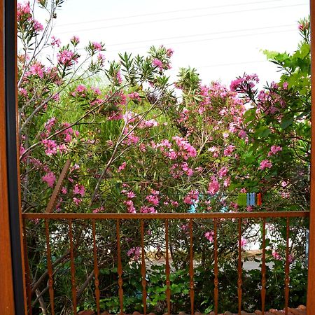 Villa Poseidon Dalyan Ngoại thất bức ảnh