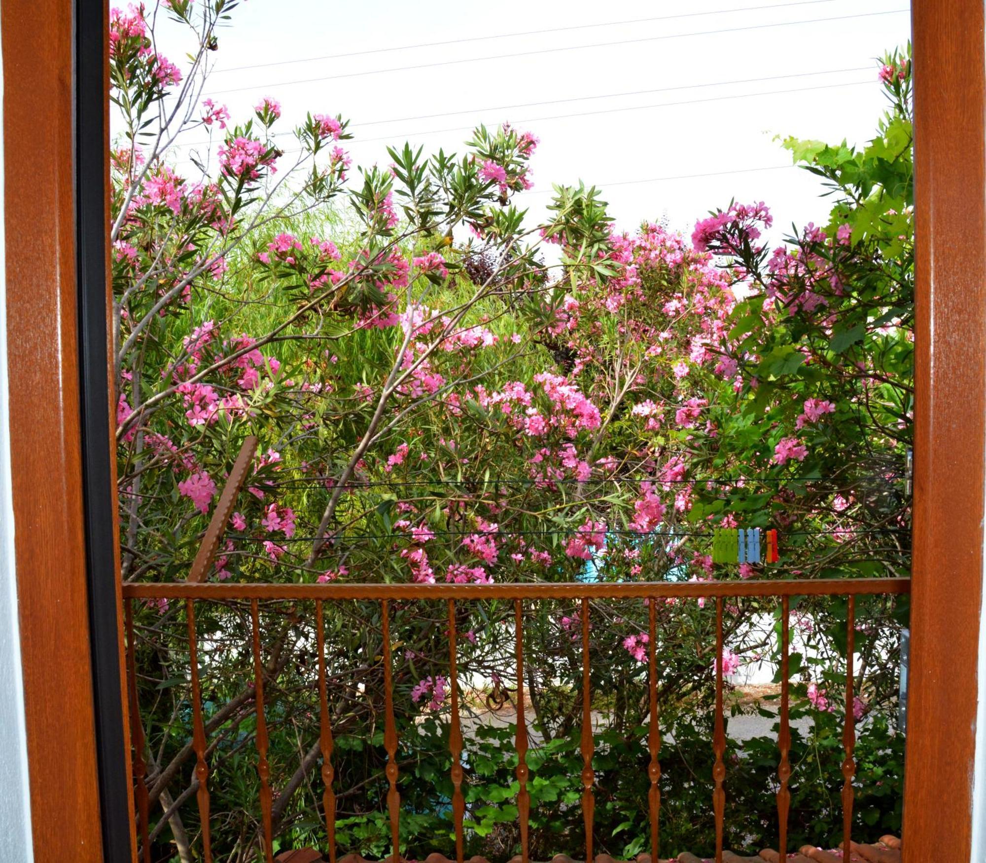 Villa Poseidon Dalyan Ngoại thất bức ảnh